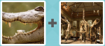 Pictoword level 222 - Crocodile Snap Jaw Bones Dinosaurs
