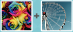 Level 546 Answer (Flowers Roses Rainbows Colours Colors Ferris Wheel Fairground Ride Big Cars Show)