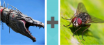 Pictoword Animals level 30 - Dragon Jaws Teeth Fly
