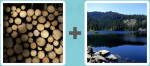 Pictoword Celebrities level 13 - Firewood Timber Logs Lake Pond Nature