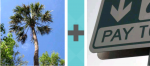 Pictoword Landmarks level 18 - Palm Tree Pay Sign